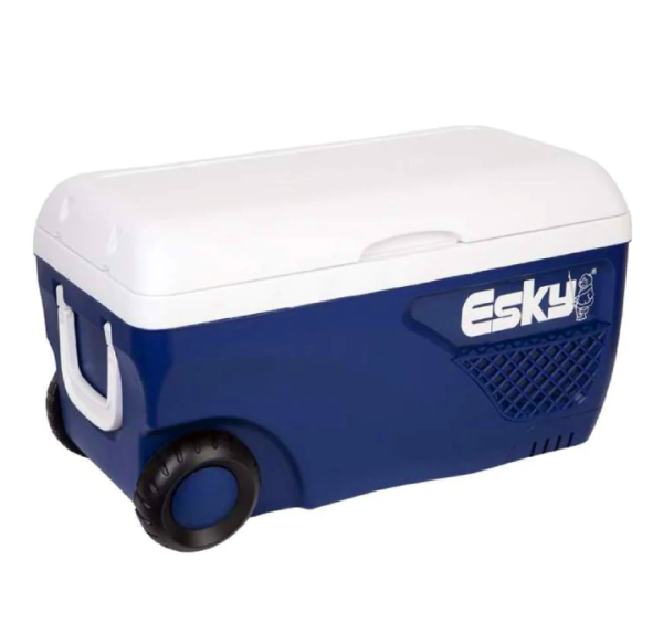 45L ESKY Ice Box