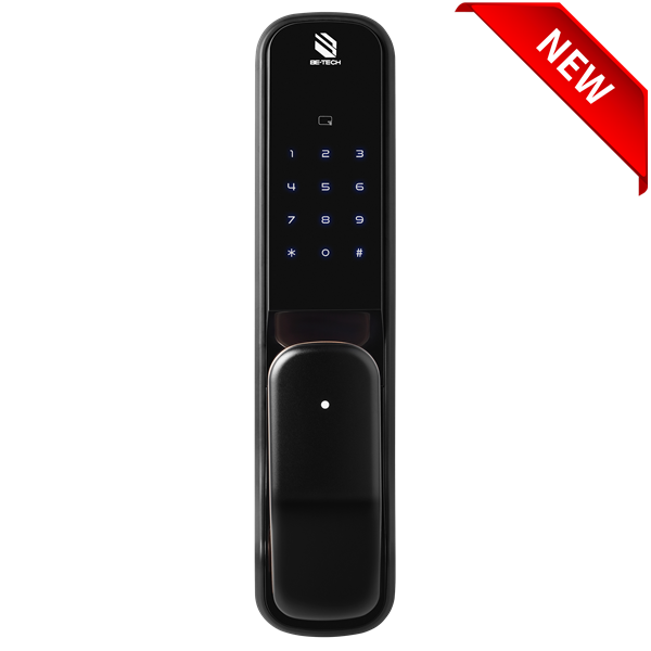 PUSH AND PULL H3 FINGERPRINT DIGITAL DOOR LOCK